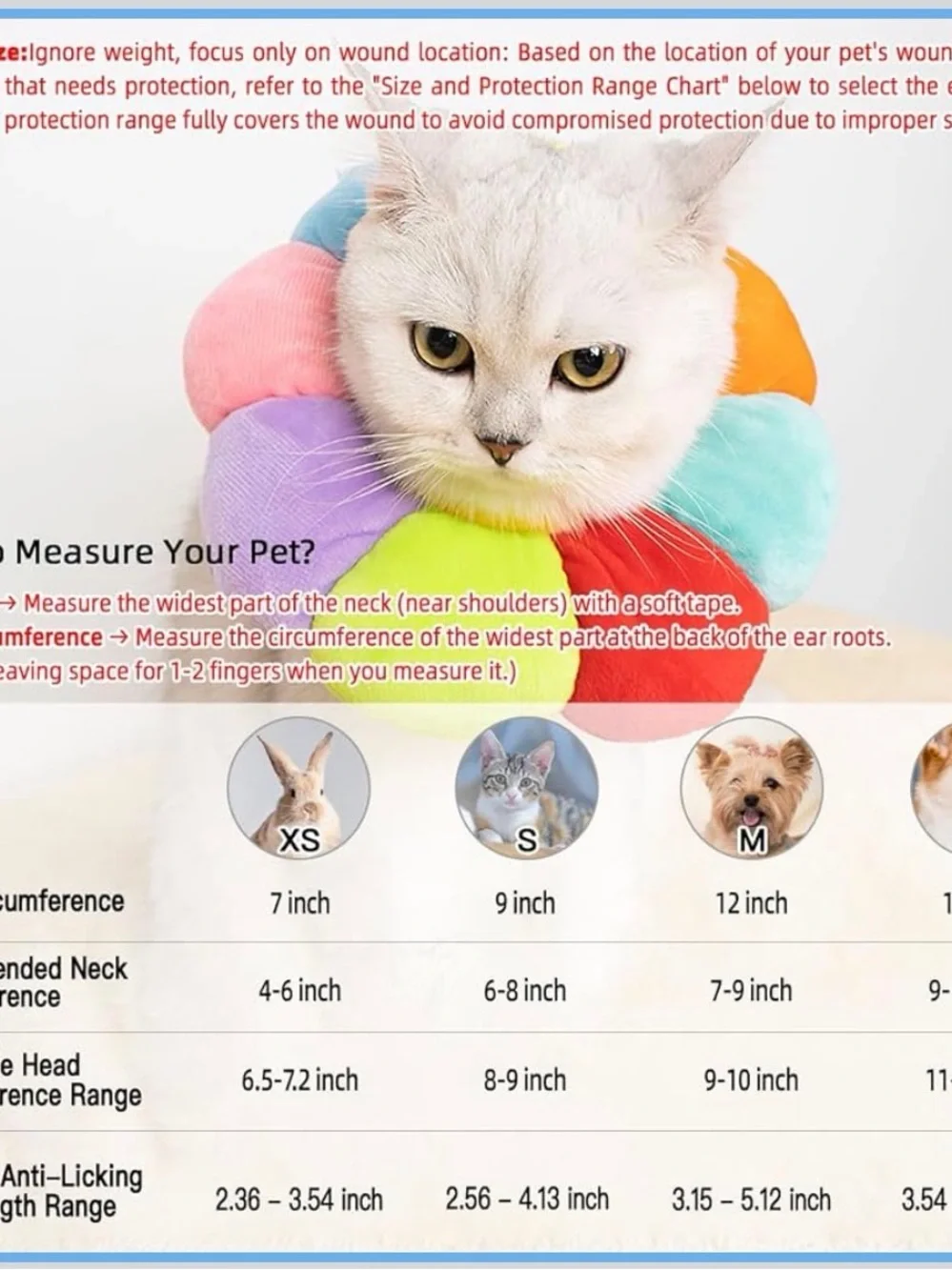 PET | flower recovery collar